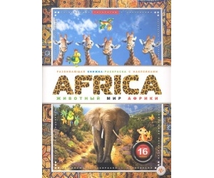 Africa     