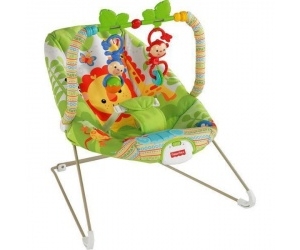 -      Fisher Price