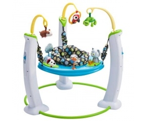   ExerSaucer Jump & Learn My First Pet Evenflo