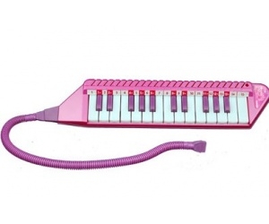  25  Winx Bontempi